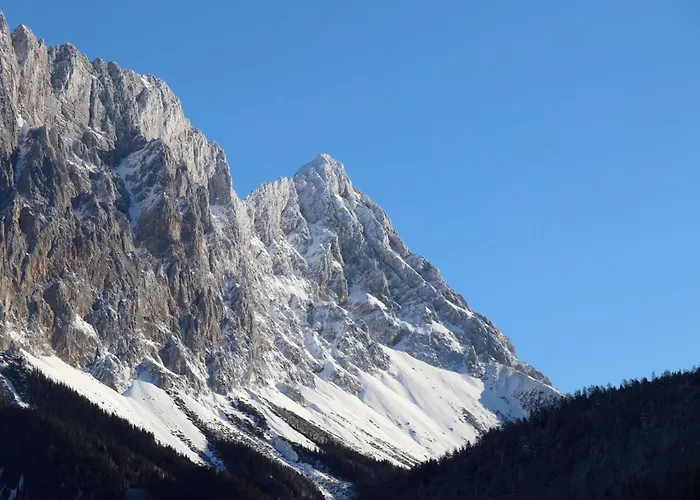 Biber Art 2 ビーバーヴィアー